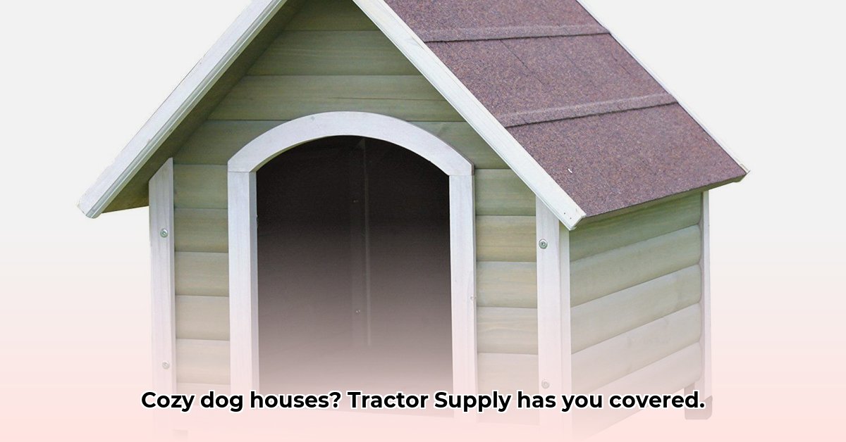 heated-dog-house-tractor-supply